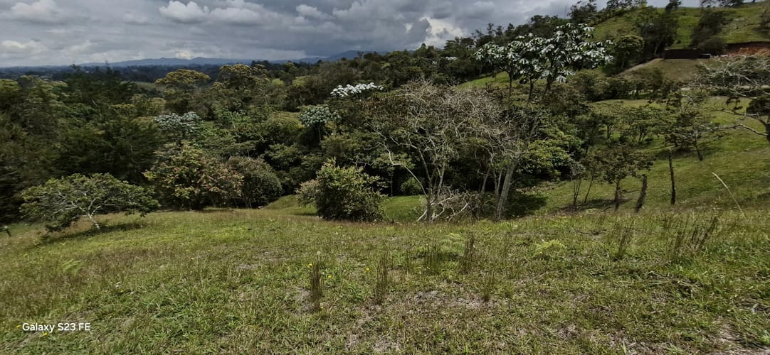 Lote en venta en El Porvenir, Rionegro, 10172 m² · foto 4 de 13
