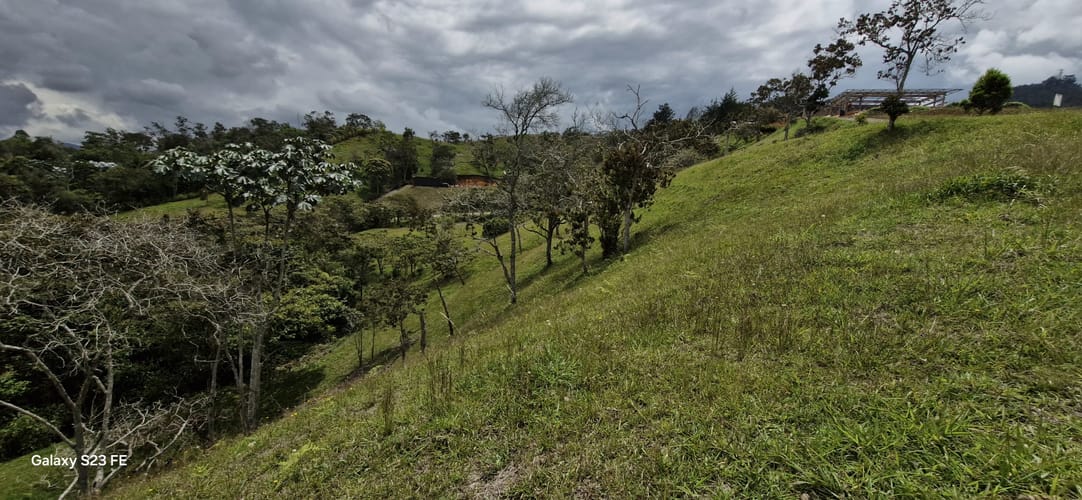 Lote en venta en El Porvenir, Rionegro, 10172 m² · foto 8 de 13