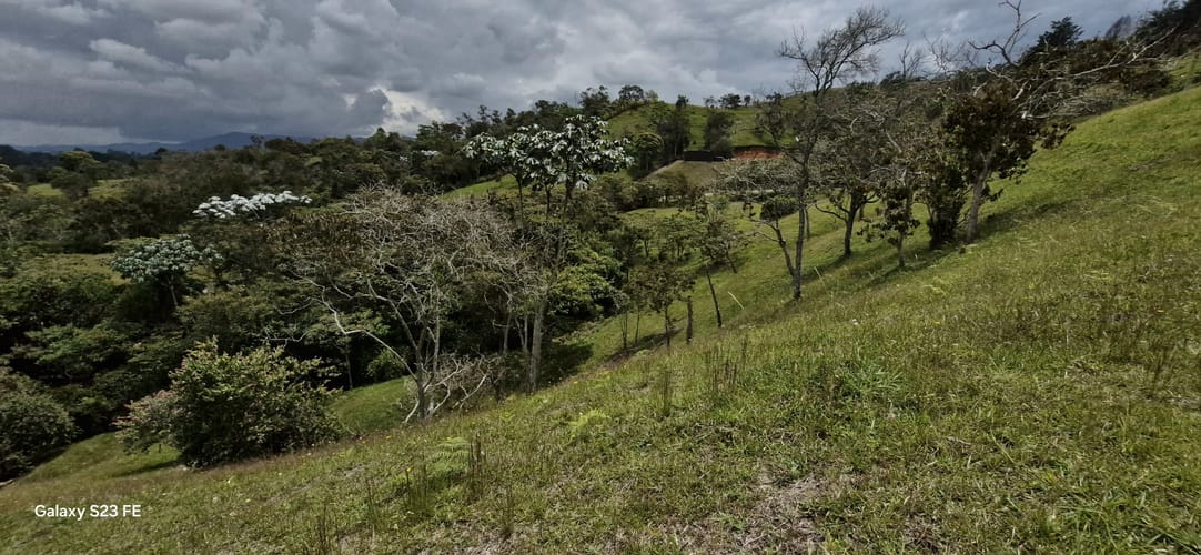 Lote en venta en El Porvenir, Rionegro, 10172 m² · foto 13 de 13