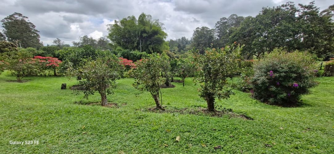 Finca en venta en El Porvenir, Rionegro, 161 m² · foto 11 de 24