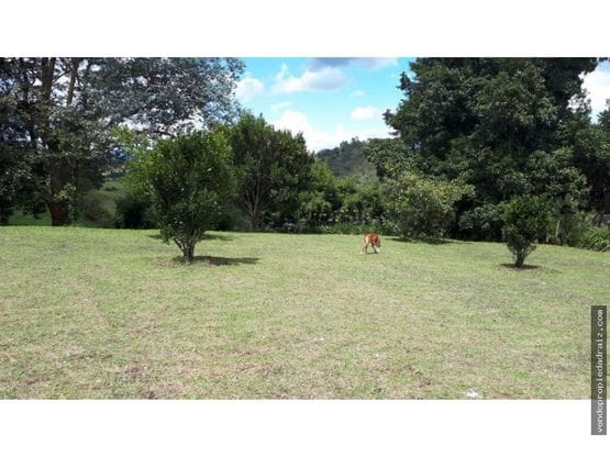 Lote en venta en El Porvenir, Rionegro, 3700 m² · foto 4 de 16