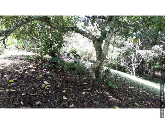 Lote en venta en El Porvenir, Rionegro, 3700 m² · foto 9 de 16