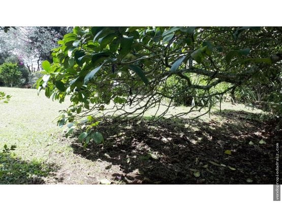 Lote en venta en El Porvenir, Rionegro, 3700 m² · foto 10 de 16