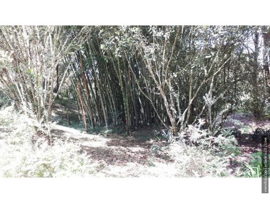 Lote en venta en El Porvenir, Rionegro, 3700 m² · foto 11 de 16