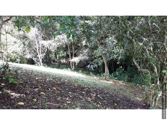 Lote en venta en El Porvenir, Rionegro, 3700 m² · foto 12 de 16