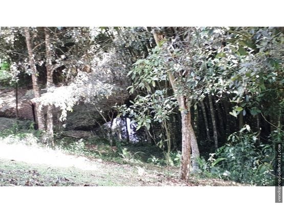 Lote en venta en El Porvenir, Rionegro, 3700 m² · foto 14 de 16