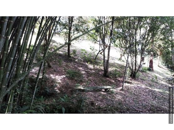 Lote en venta en El Porvenir, Rionegro, 3700 m² · foto 15 de 16