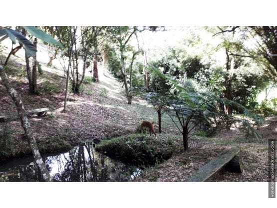 Lote en venta en El Porvenir, Rionegro, 3700 m² · foto 16 de 16