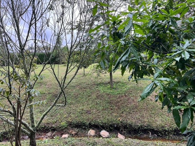 Lote en venta en El Porvenir, Rionegro, 280 m² · foto 7 de 18