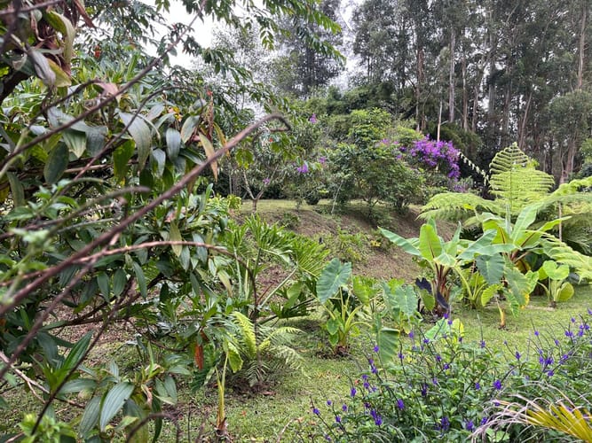 Lote en venta en El Porvenir, Rionegro, 280 m² · foto 12 de 18