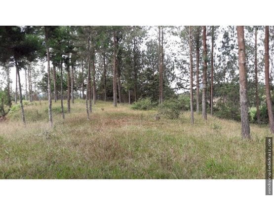 Lote en venta en El Retiro, 5000 m² · foto 2 de 10