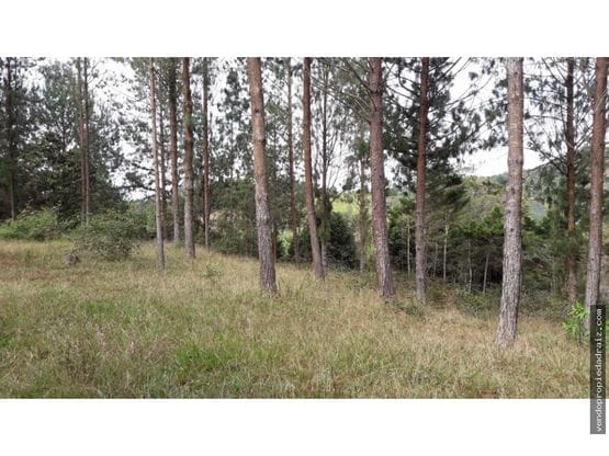 Lote en venta en El Retiro, 5000 m² · foto 5 de 10