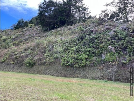 Lote en venta en El Porvenir, Rionegro, 5007 m² · foto 7 de 17