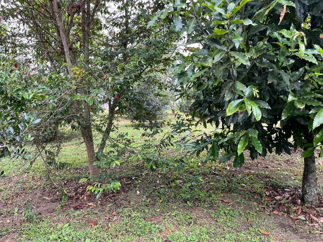 Lote en venta en El Porvenir, Rionegro, 396 m² · foto 15 de 24