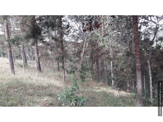 Lote en venta en El Retiro, 5000 m² · foto 6 de 10