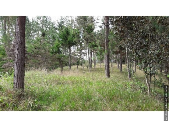 Lote en venta en El Retiro, 5000 m² · foto 7 de 10