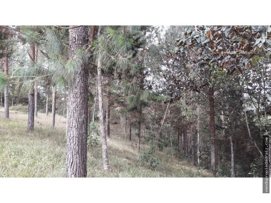 Lote en venta en El Retiro, 5000 m² · foto 9 de 10