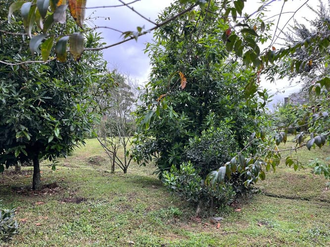 Lote en venta en El Porvenir, Rionegro, 396 m² · foto 20 de 24