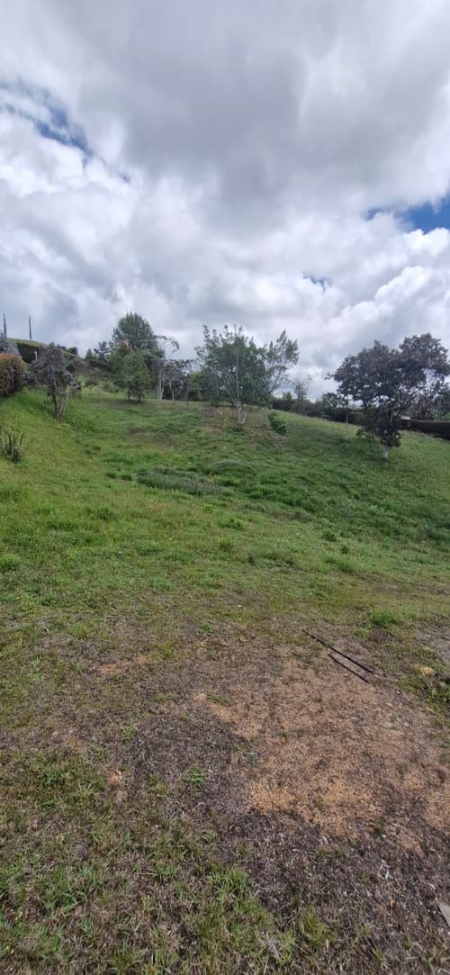 Lote en venta en El Carmen De Viboral, El Carmen de Viboral, 2515 m² · foto 5 de 19