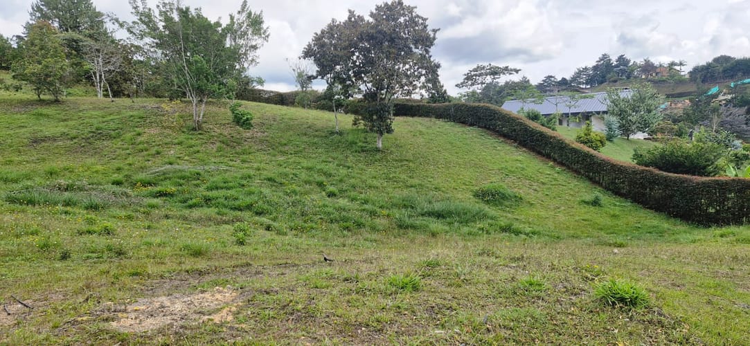 Lote en venta en El Carmen De Viboral, El Carmen de Viboral, 2515 m² · foto 6 de 19