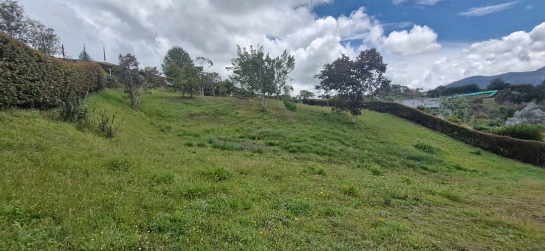 Lote en venta en El Carmen De Viboral, El Carmen de Viboral, 2515 m² · foto 8 de 19