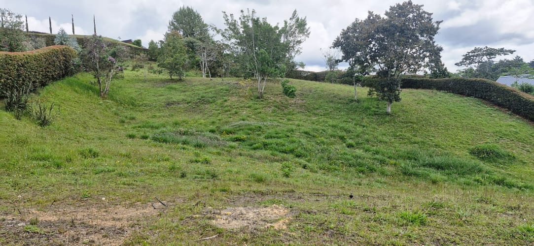 Lote en venta en El Carmen De Viboral, El Carmen de Viboral, 2515 m² · foto 9 de 19