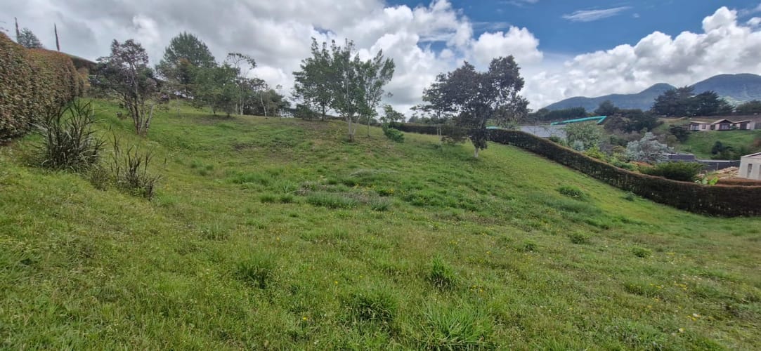 Lote en venta en El Carmen De Viboral, El Carmen de Viboral, 2515 m² · foto 10 de 19