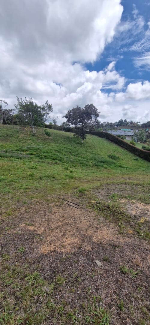 Lote en venta en El Carmen De Viboral, El Carmen de Viboral, 2515 m² · foto 13 de 19