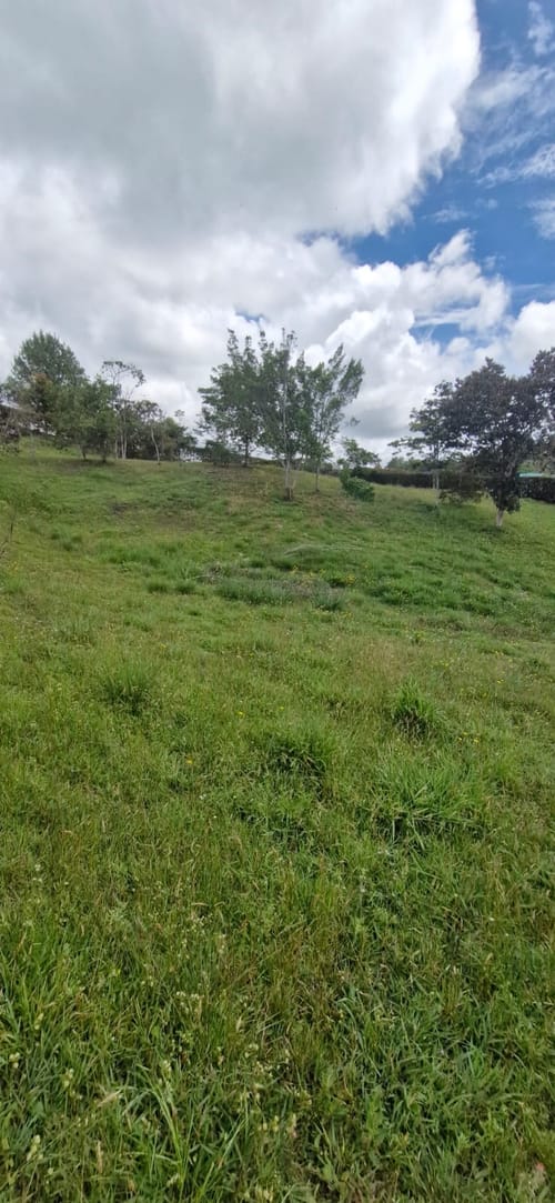 Lote en venta en El Carmen De Viboral, El Carmen de Viboral, 2515 m² · foto 15 de 19