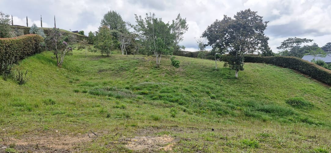 Lote en venta en El Carmen De Viboral, El Carmen de Viboral, 2515 m² · foto 16 de 19