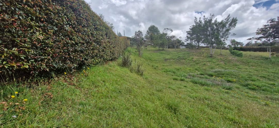Lote en venta en El Carmen De Viboral, El Carmen de Viboral, 2515 m² · foto 17 de 19