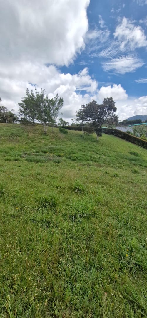 Lote en venta en El Carmen De Viboral, El Carmen de Viboral, 2515 m² · foto 18 de 19