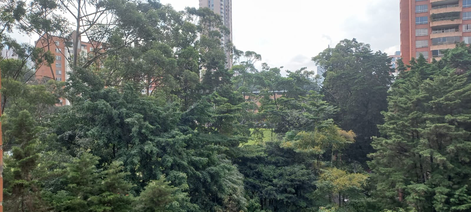 Apartamento en venta en El Poblado, Medellín · foto 12 de 24