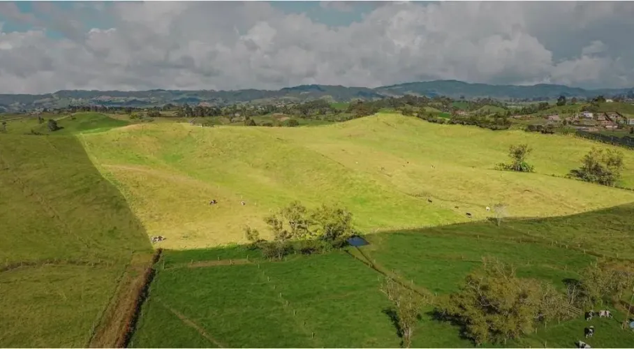 Lote en venta en Guayabito, Rionegro, 56776 m² · foto 2 de 3