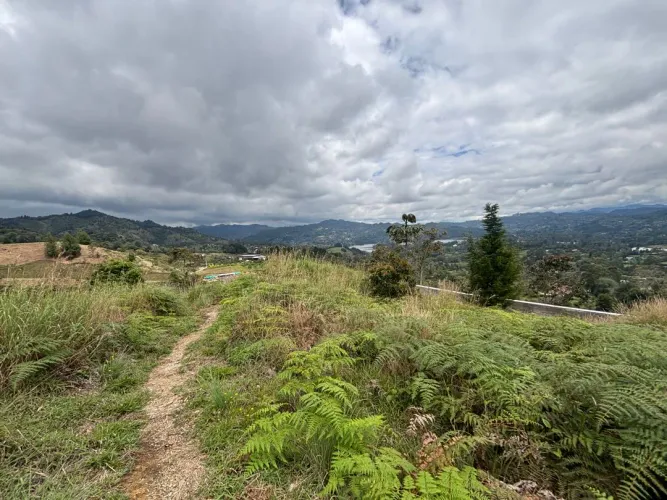 Lote en venta en Guayabito, Rionegro, 10000 m² · foto 2 de 10