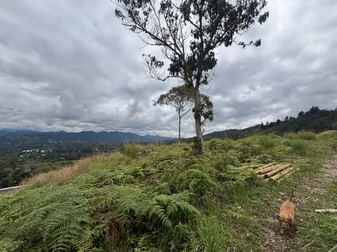 Lote en venta en Guayabito, Rionegro, 10000 m² · foto 4 de 10