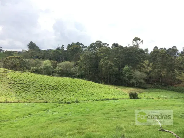 Finca en venta en El Capiro, Rionegro · foto 5 de 16