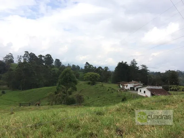 Finca en venta en El Capiro, Rionegro · foto 6 de 16