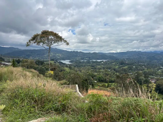 Lote en venta en Guayabito, Rionegro, 10000 m² · foto 7 de 10