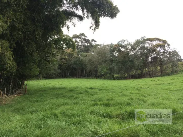 Finca en venta en El Capiro, Rionegro · foto 7 de 16