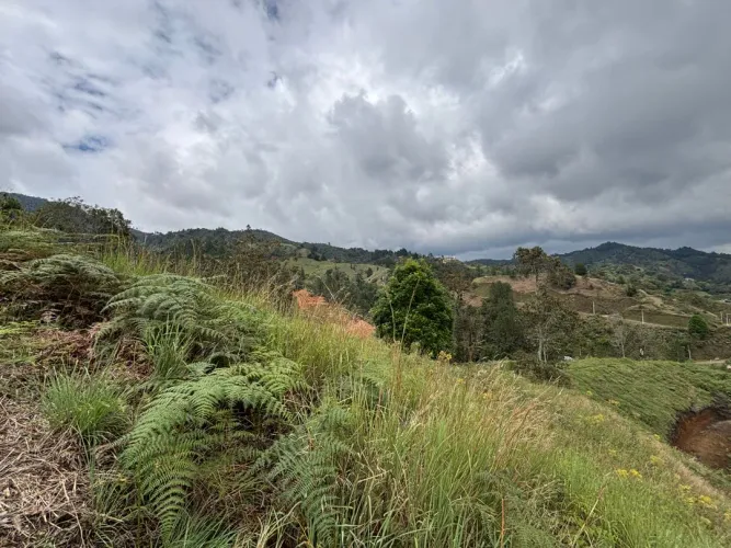 Lote en venta en Guayabito, Rionegro, 10000 m² · foto 8 de 10
