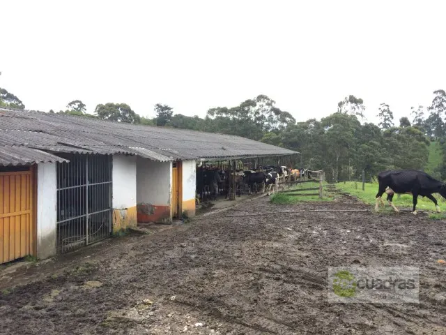 Finca en venta en El Capiro, Rionegro · foto 8 de 16