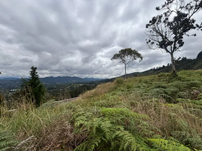 Lote en venta en Guayabito, Rionegro, 10000 m² · foto 9 de 10
