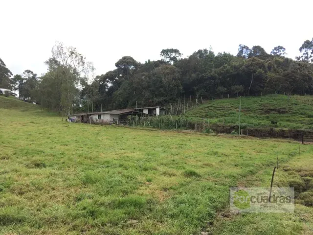 Finca en venta en El Capiro, Rionegro · foto 9 de 16