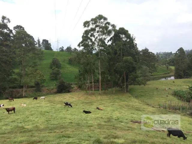Finca en venta en El Capiro, Rionegro · foto 10 de 16