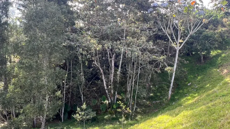 Lote en venta en Quirama, El Carmen de Viboral, 2500 m² · foto 2 de 7