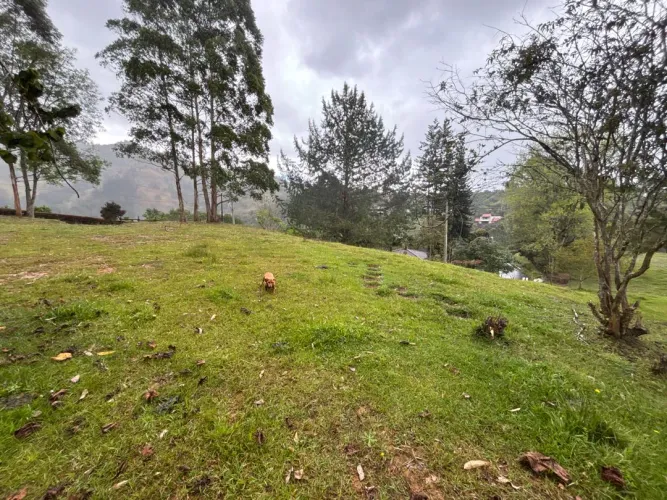 Lote en venta en Guayabito, Rionegro, 10000 m² · foto 3 de 12