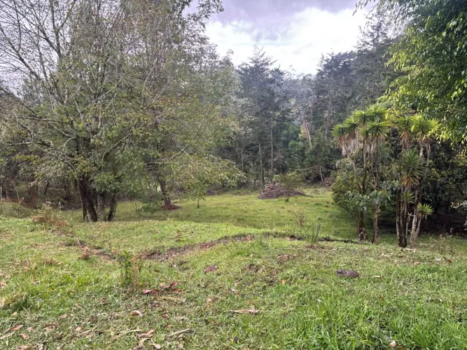 Lote en venta en Guayabito, Rionegro, 10000 m² · foto 4 de 12
