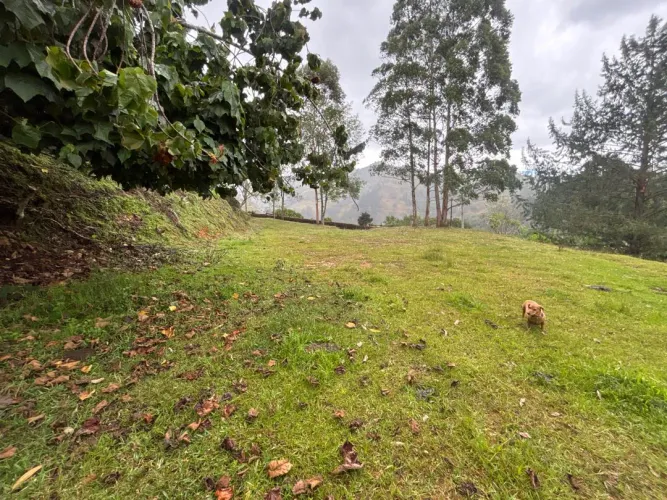 Lote en venta en Guayabito, Rionegro, 10000 m² · foto 5 de 12
