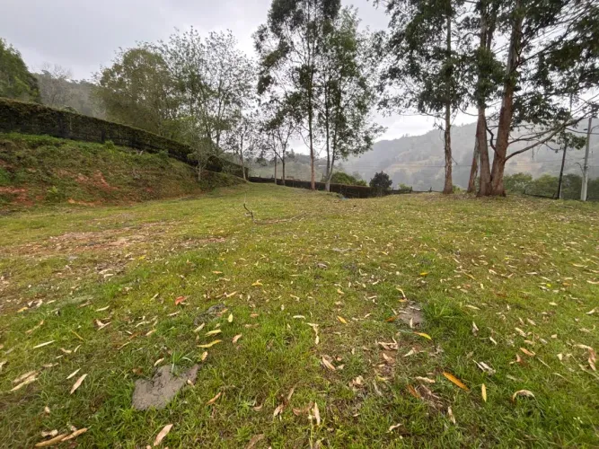 Lote en venta en Guayabito, Rionegro, 10000 m² · foto 6 de 12
